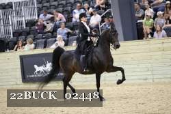 22BUCK_02448 proof