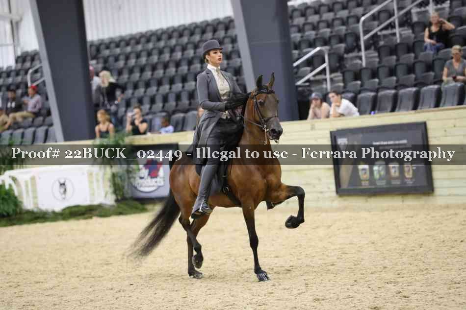 Proof 22BUCK_02449