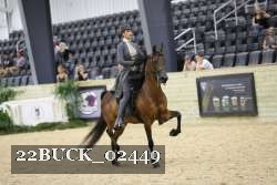 22BUCK_02449 proof
