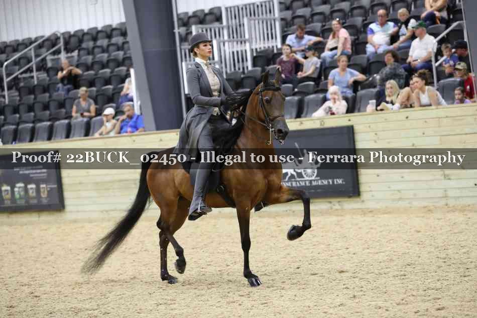 Proof 22BUCK_02450