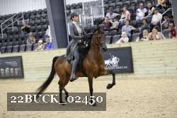 22BUCK_02450 proof