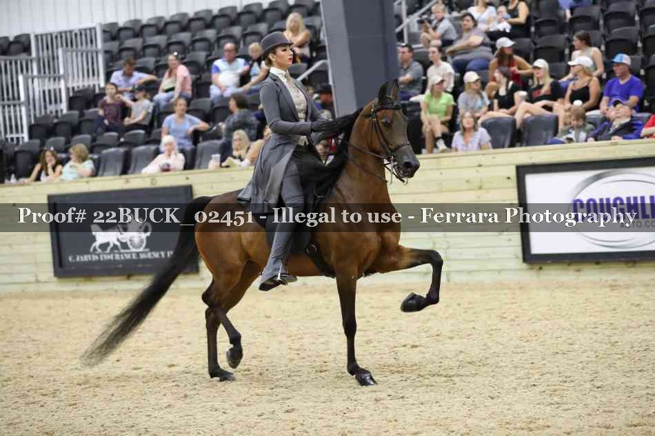 Proof 22BUCK_02451