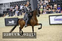 22BUCK_02451 proof