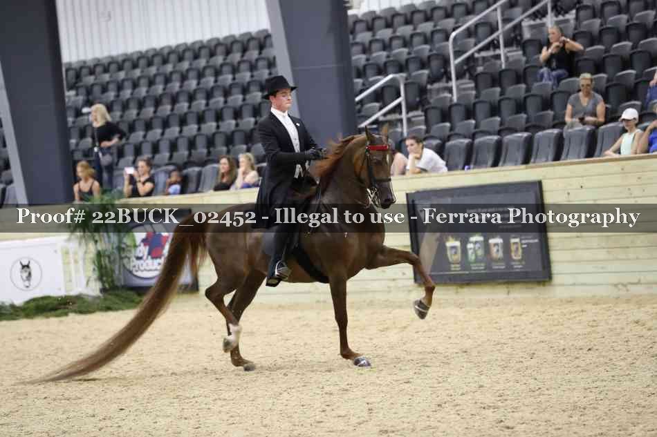 Proof 22BUCK_02452