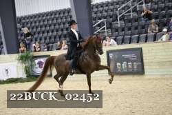 22BUCK_02452 proof