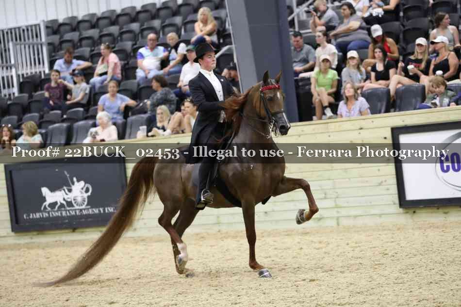 Proof 22BUCK_02453