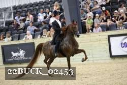 22BUCK_02453 proof