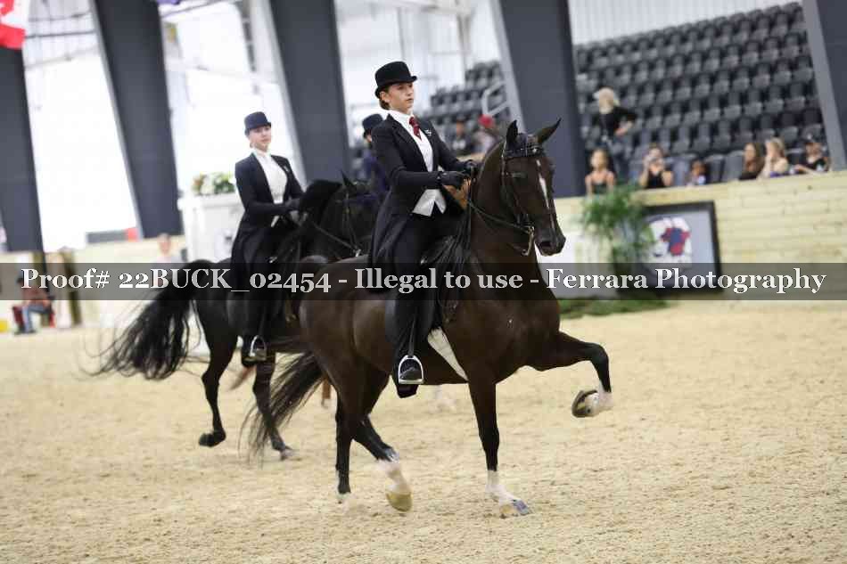 Proof 22BUCK_02454