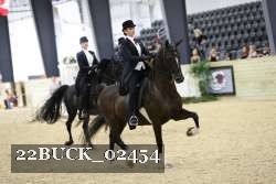 22BUCK_02454 proof