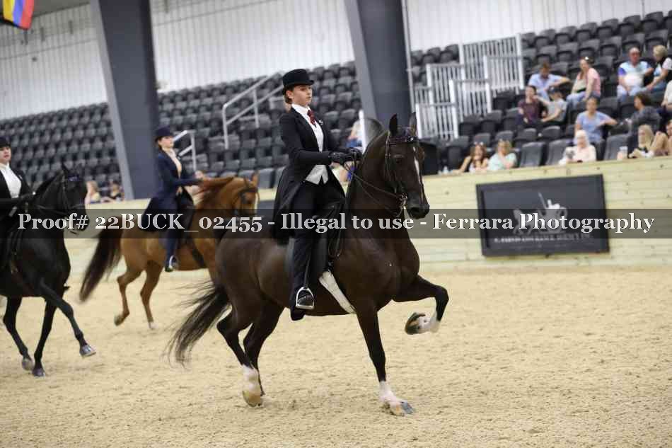Proof 22BUCK_02455