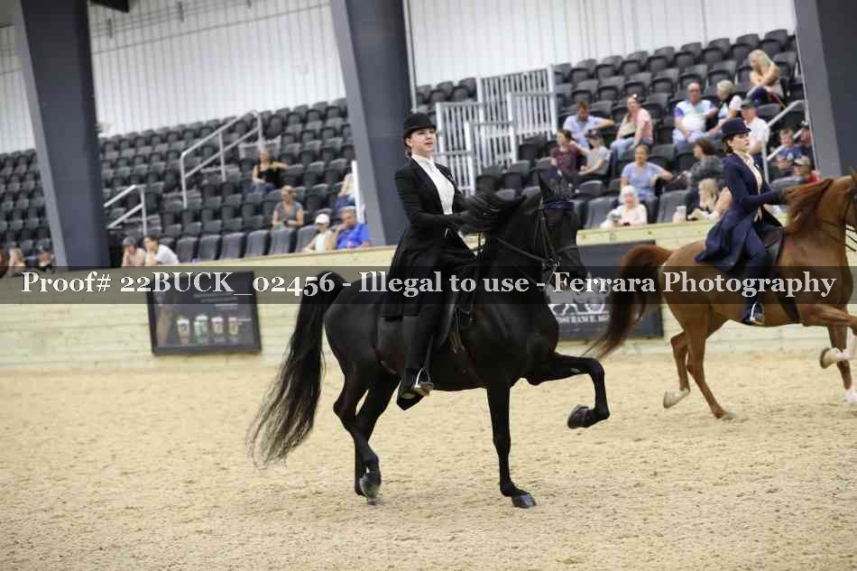 Proof 22BUCK_02456