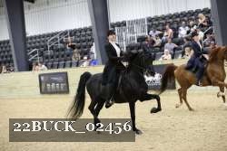 22BUCK_02456 proof