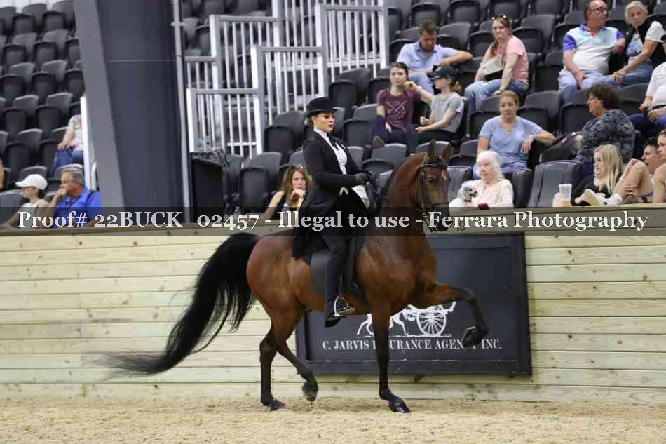 Proof 22BUCK_02457