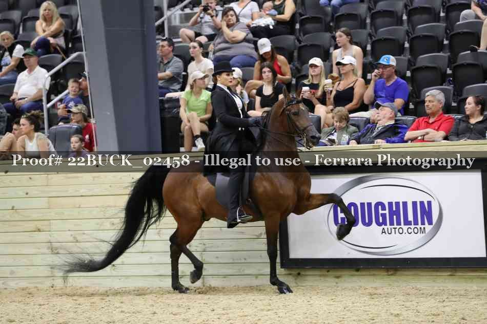 Proof 22BUCK_02458