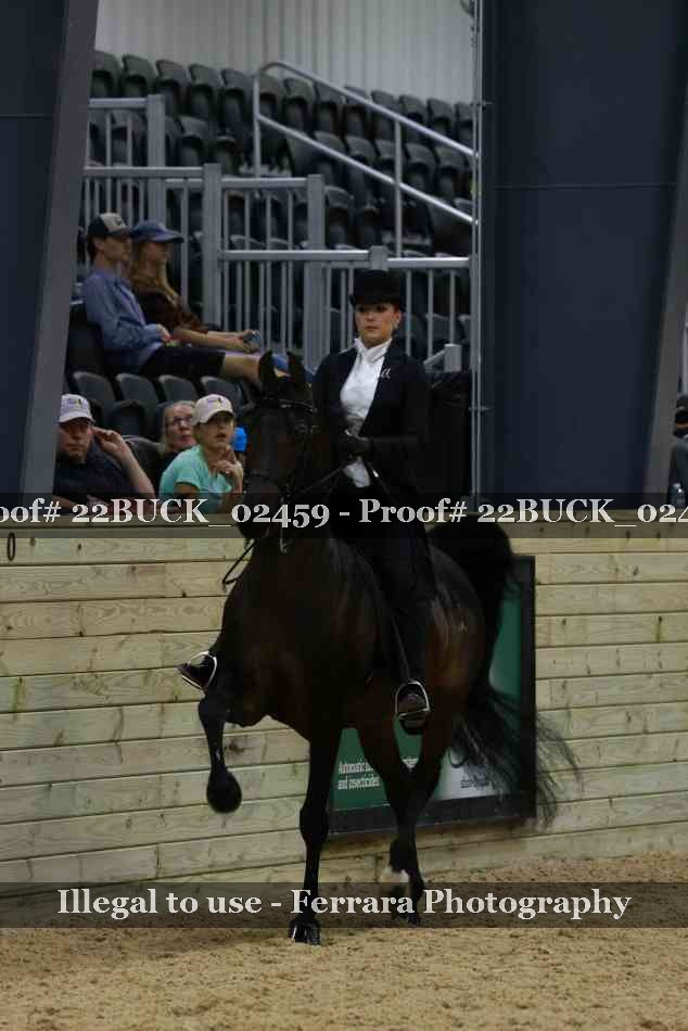 Proof 22BUCK_02459