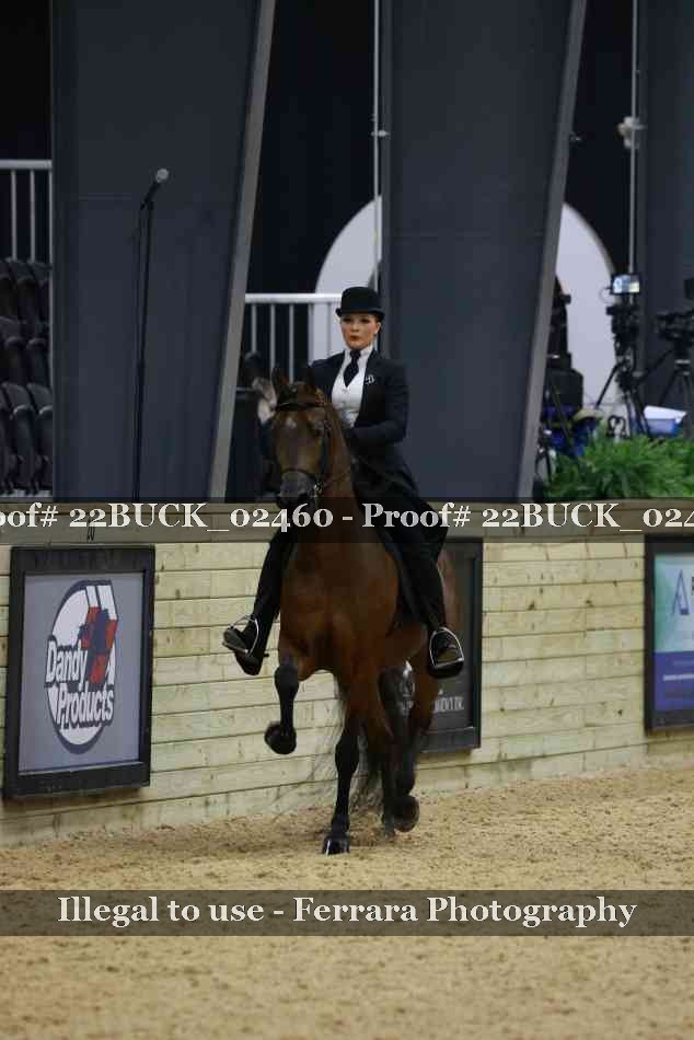 Proof 22BUCK_02460