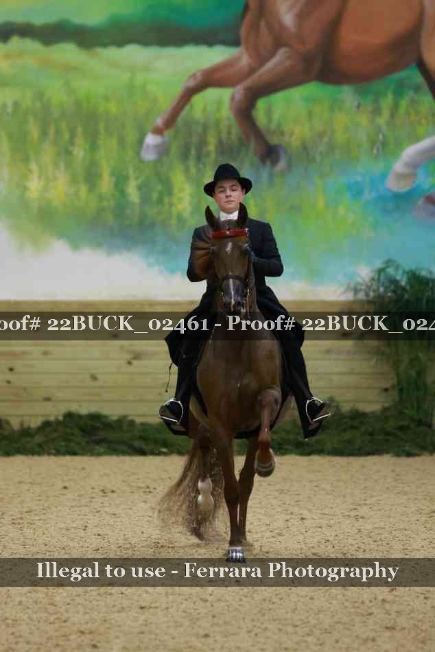 Proof 22BUCK_02461