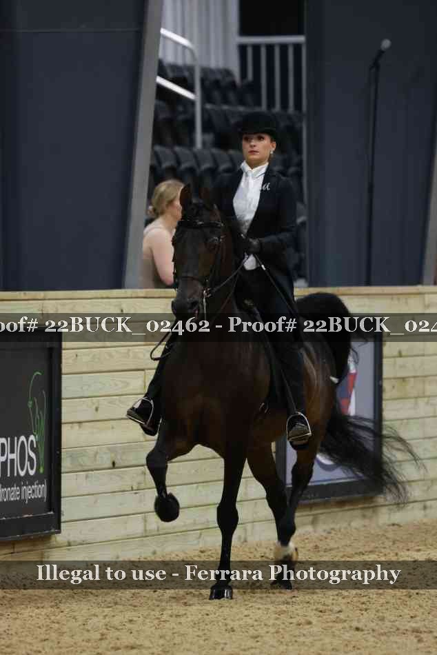 Proof 22BUCK_02462