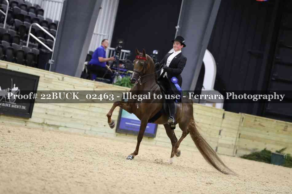 Proof 22BUCK_02463