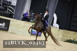22BUCK_02463 proof