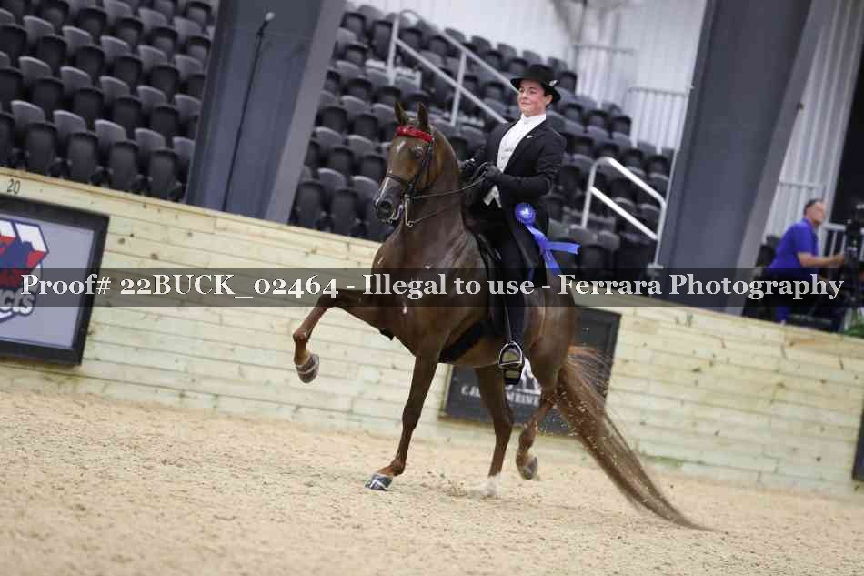 Proof 22BUCK_02464