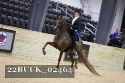22BUCK_02464 proof