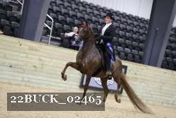 22BUCK_02465 proof