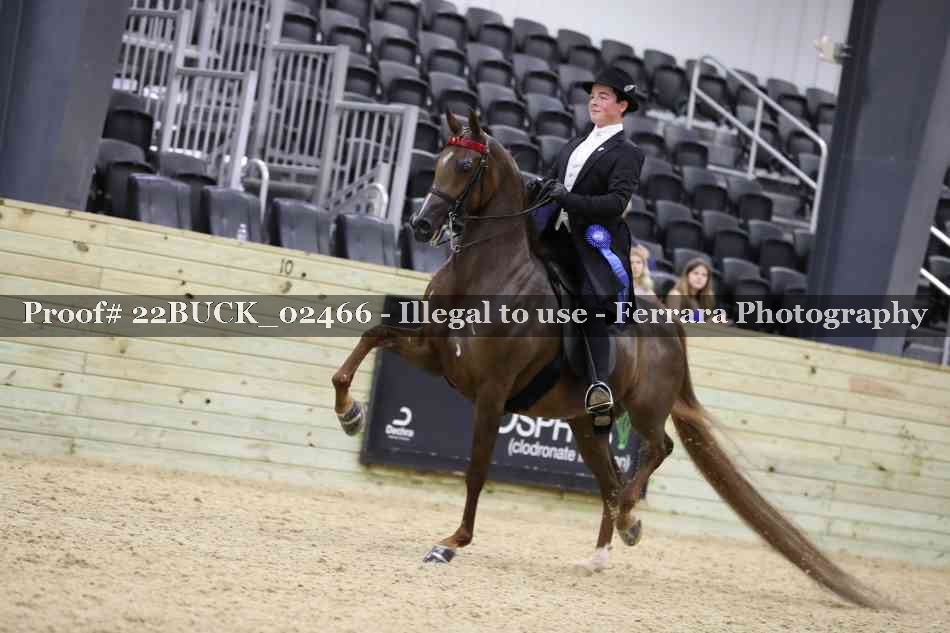 Proof 22BUCK_02466