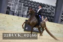 22BUCK_02466 proof