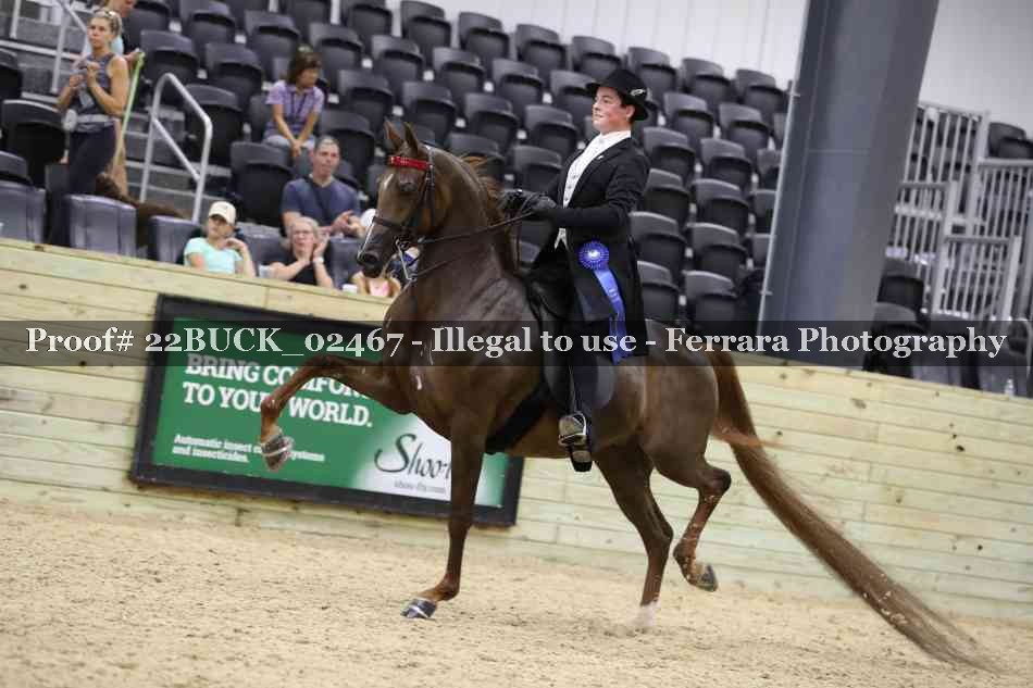 Proof 22BUCK_02467