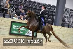 22BUCK_02467 proof
