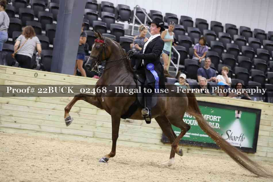 Proof 22BUCK_02468