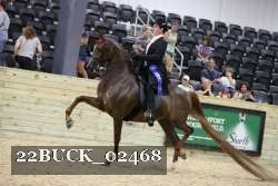 22BUCK_02468 proof