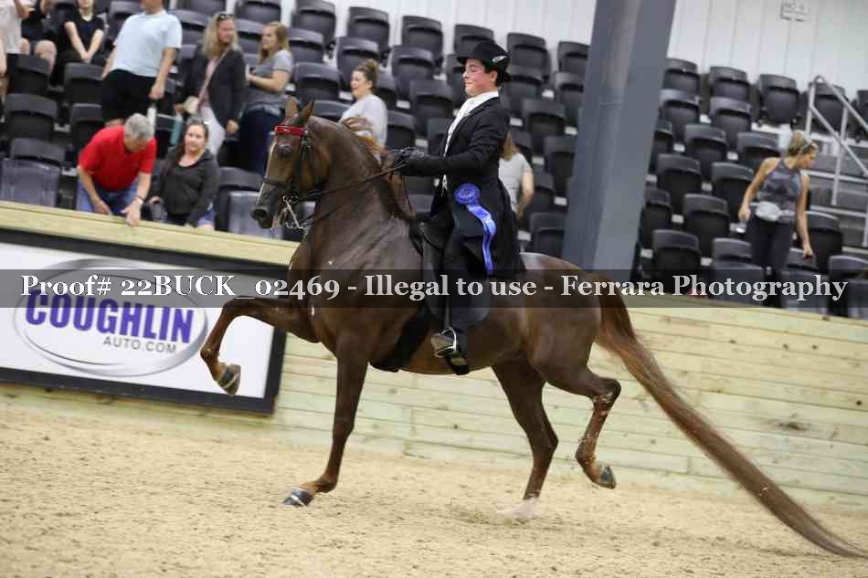 Proof 22BUCK_02469