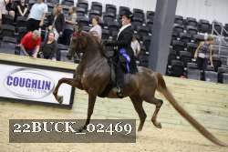 22BUCK_02469 proof