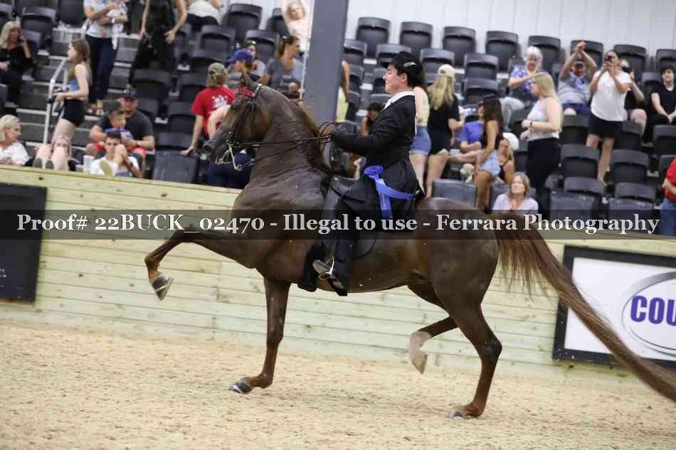 Proof 22BUCK_02470