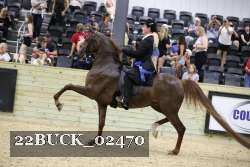 22BUCK_02470 proof