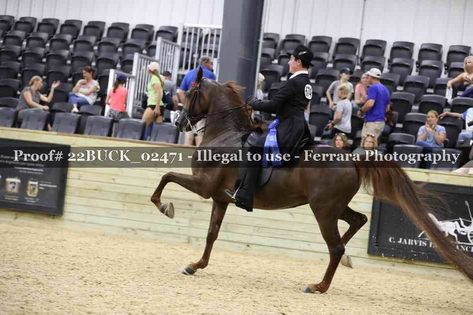 Proof 22BUCK_02471