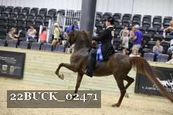 22BUCK_02471 proof