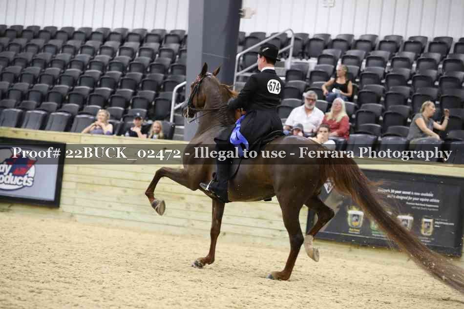 Proof 22BUCK_02472