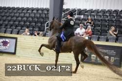 22BUCK_02472 proof