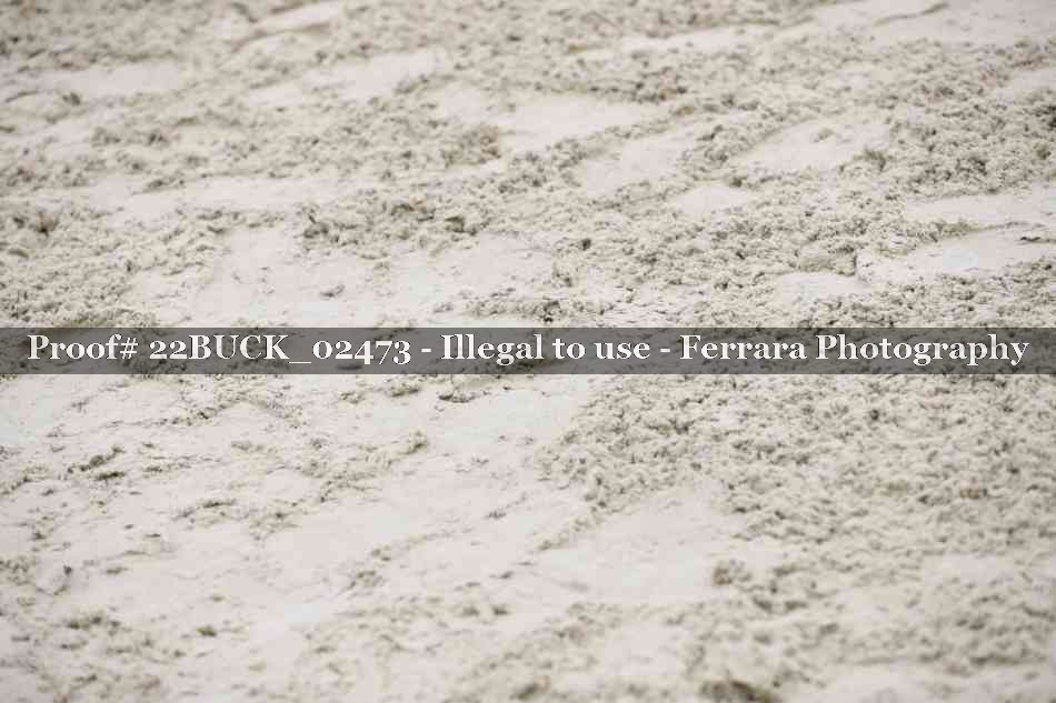 Proof 22BUCK_02473