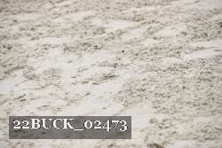 22BUCK_02473 proof