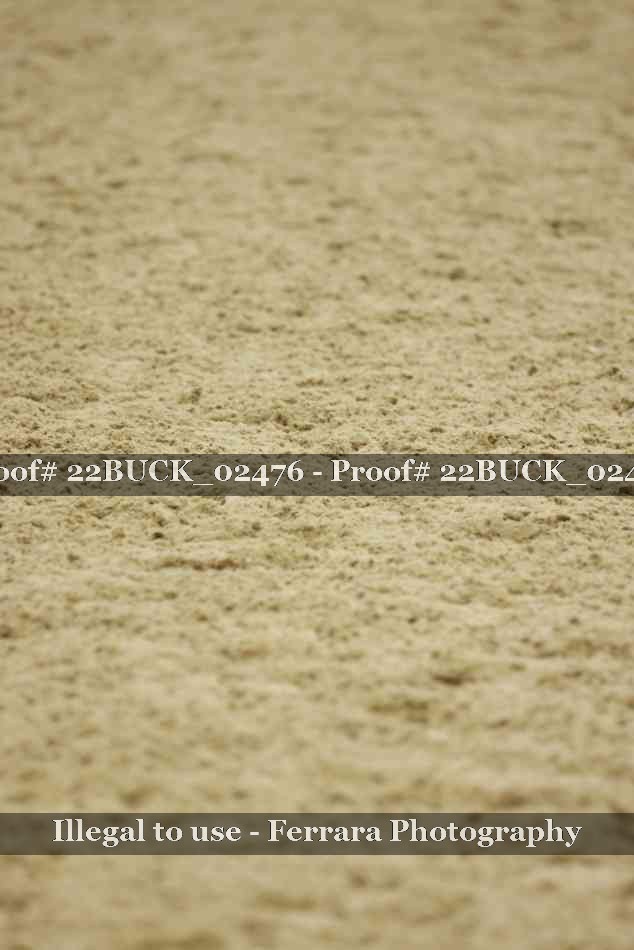 Proof 22BUCK_02476