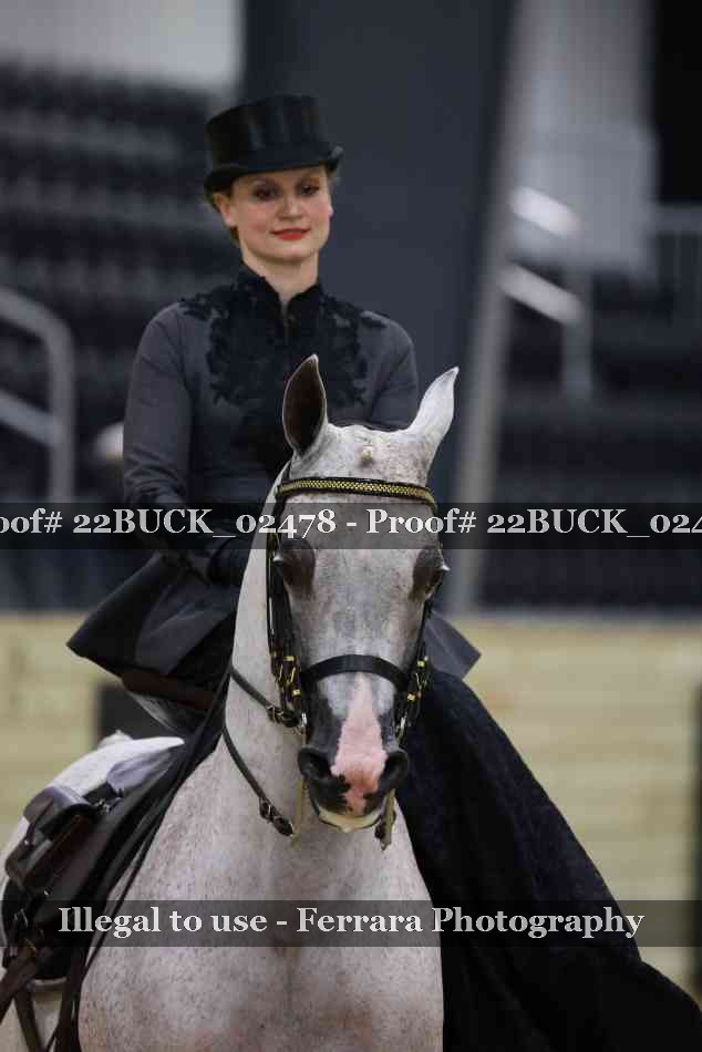 Proof 22BUCK_02478