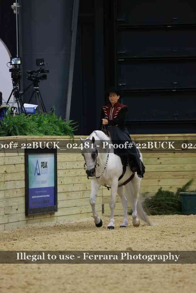 Proof 22BUCK_02481