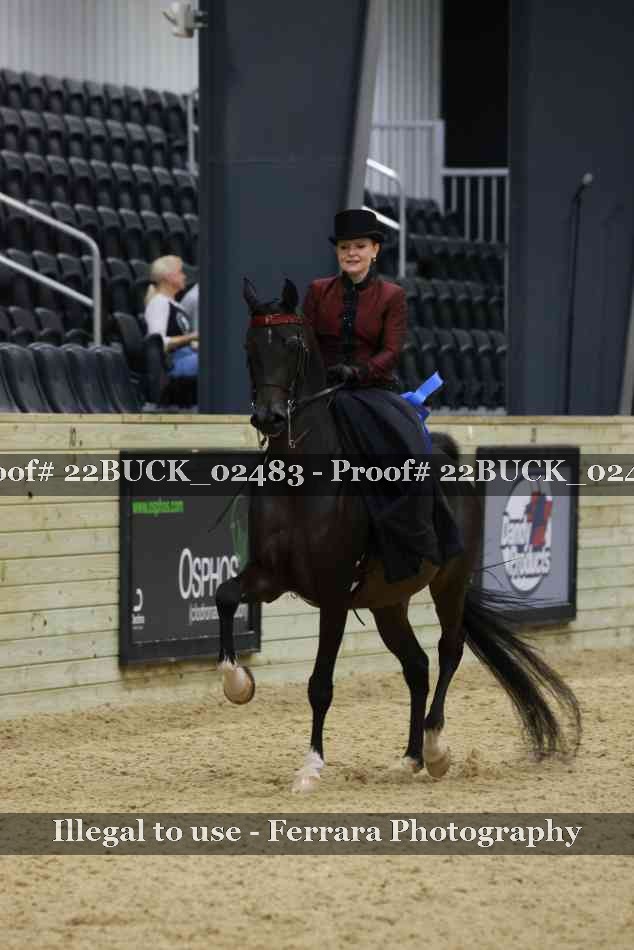 Proof 22BUCK_02483