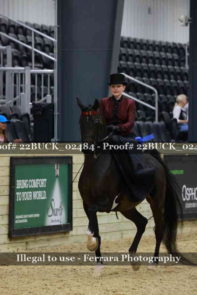 Proof 22BUCK_02484