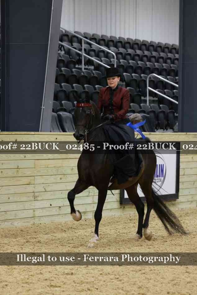 Proof 22BUCK_02485