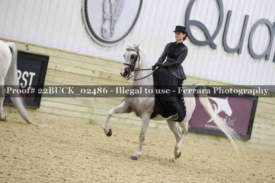 Proof 22BUCK_02486